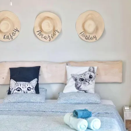Pasalimani Cozy *