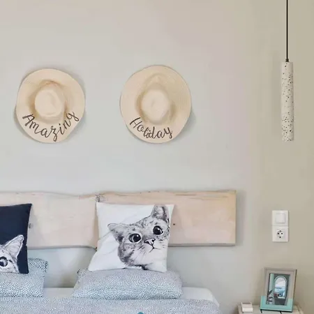 Pasalimani Cozy